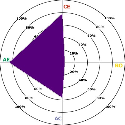 Learning Profile